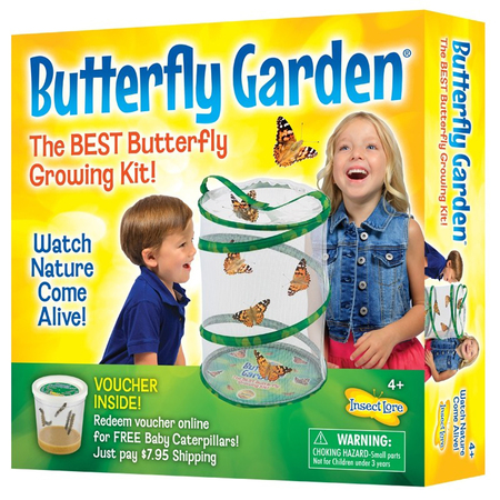 INSECT LORE Original Butterfly Garden® Growing Kit 1010